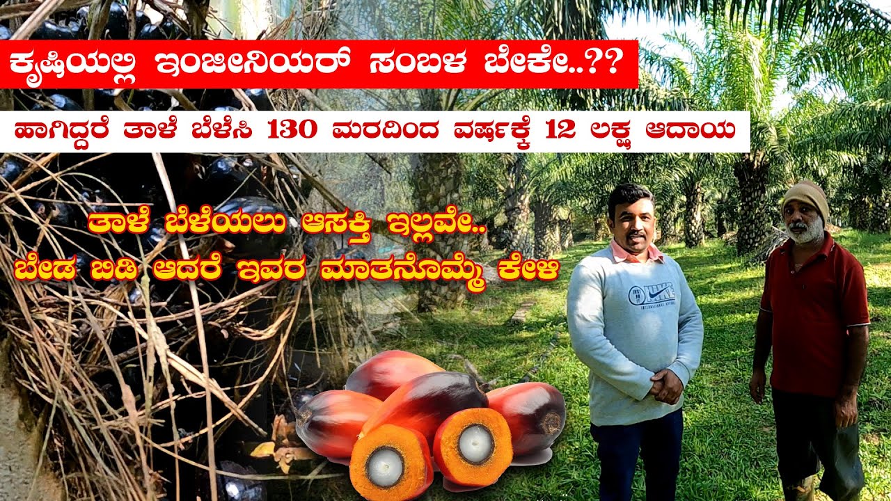 ತಾಳೆ ಬೆಳೆಯಲು ಆಸಕ್ತಿ ಇಲ್ಲವೇ.. ಬೇಡ ಬಿಡಿ ಆದರೆ ಇವರ ಮಾತನೊಮ್ಮೆ ಕೇಳಿ I Palm Cultivation in Karnataka
