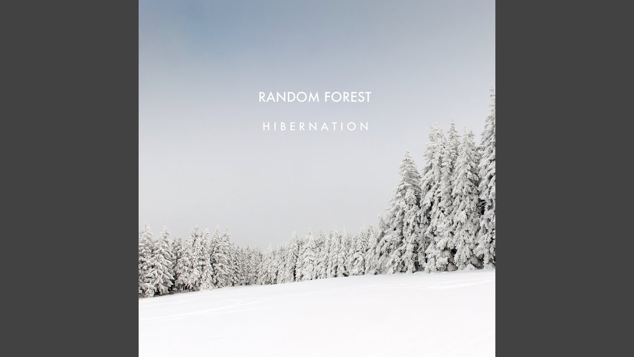 Hibernation