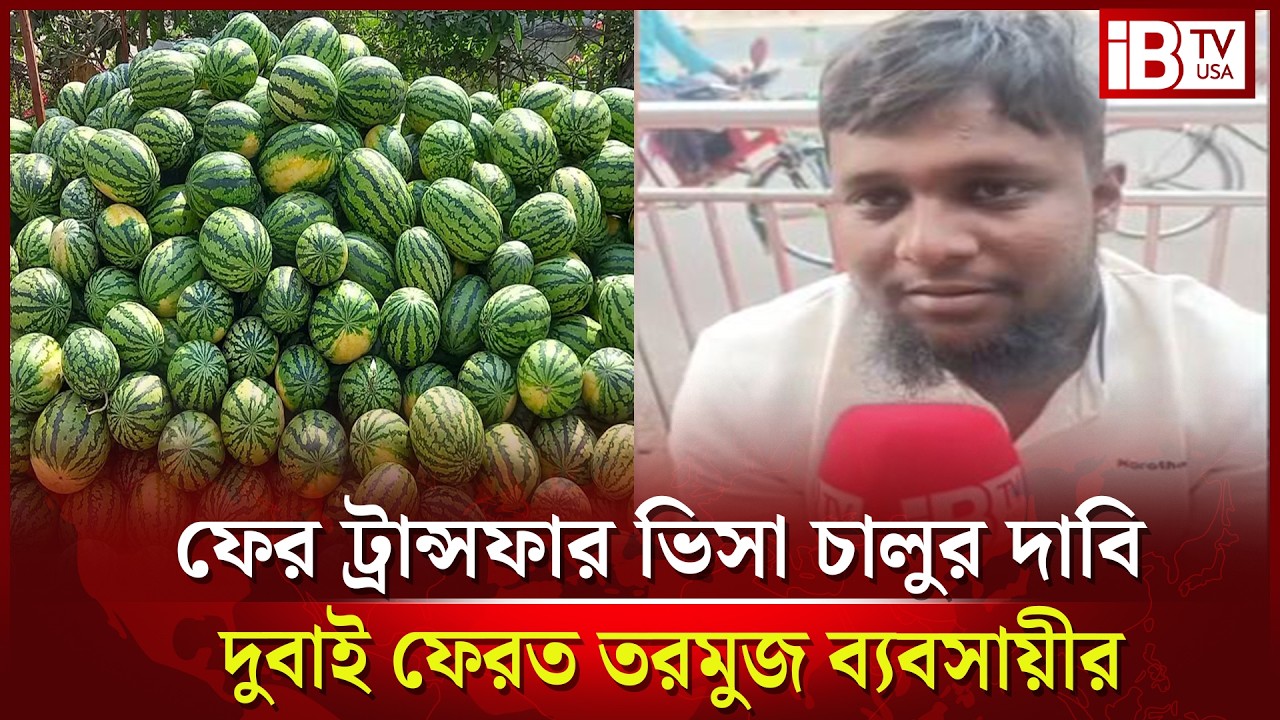 দুবাই ফেরত বাংলাদেশি নেমেছেন তরমুজের ব্যবসায়ে, খেয়েছেন লস | @IBTVUSA