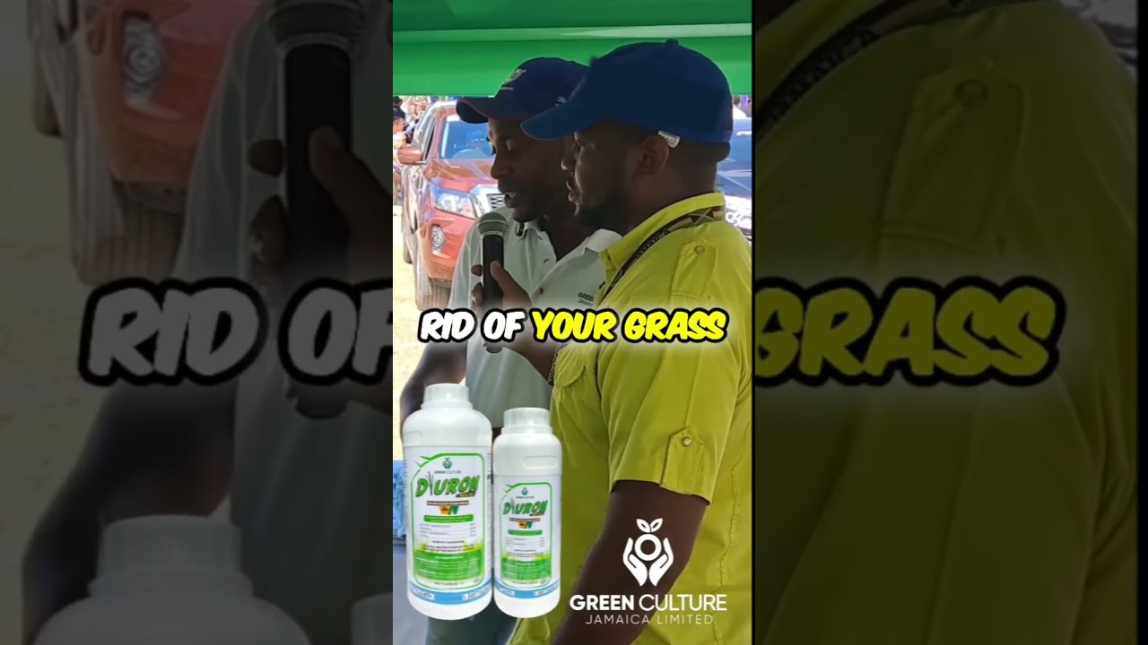 Pineapple, banana, and coffee farmers; keep your fields clean with Green Culture Diuron!