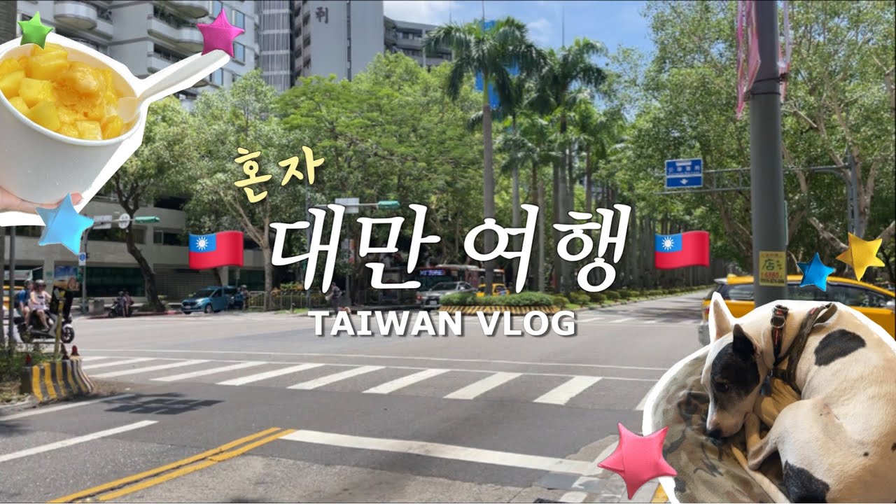 [Vlog] 퇴사하고 혼자 2박 3일 대만 여행 브이로그 ★ | 시먼딩 야시장 | 딘타이펑 | 타이베이101 | 타이거에어 | 미드타운리처드슨호텔 | heartspot