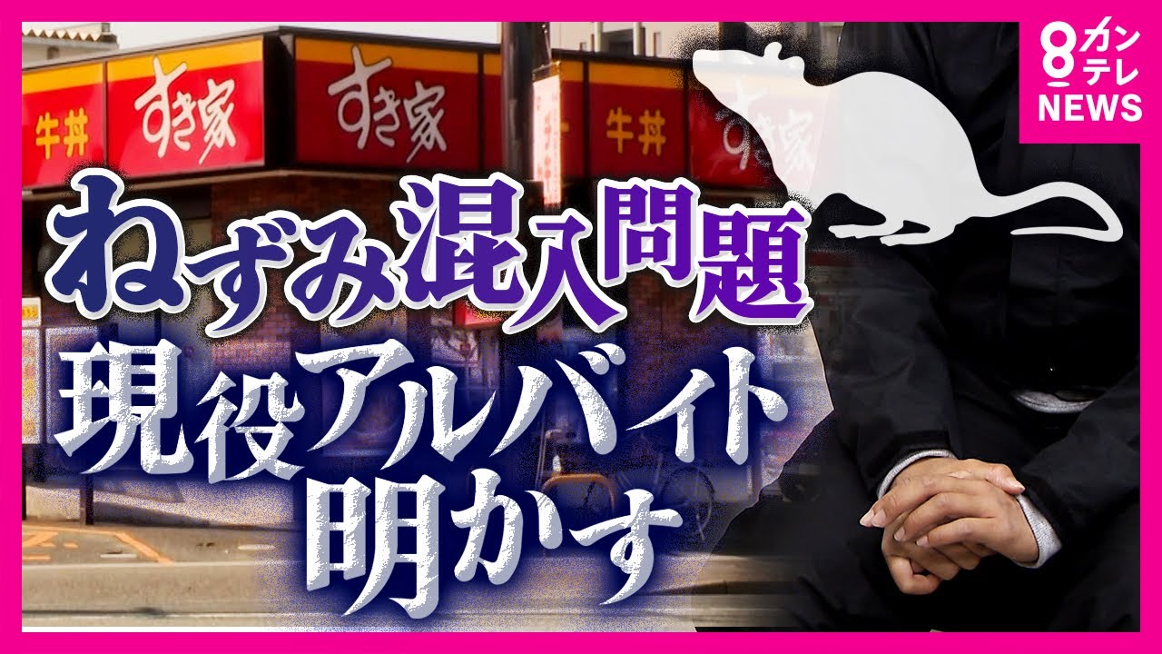「衛生面終わってんな」現役アルバイト明かす「すき家」の実情　「掃除のマニュアルもらったことない」営業停止中はワンオペで掃除も…　“みそ汁にネズミ混入”で一時営業停止〈カンテレNEWS〉