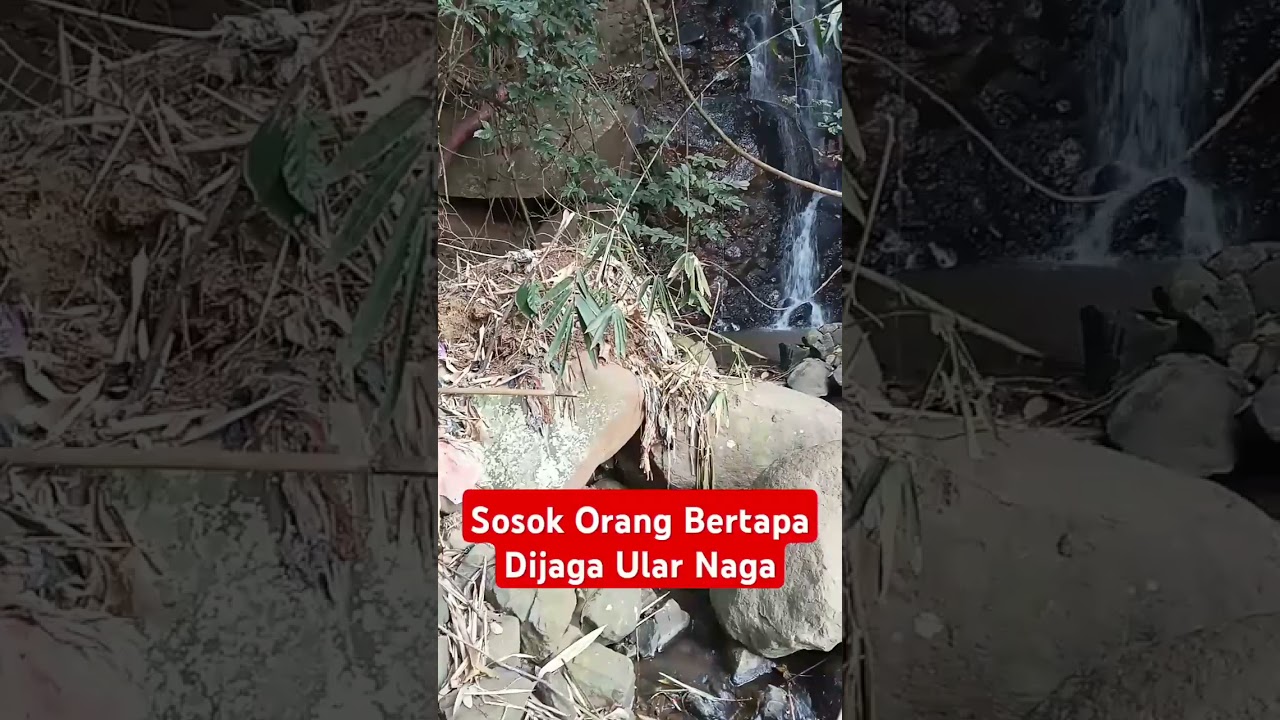 Orang Bertapa Di Jaga Siluman Ular Naga #orangbertapa #ularnaga #silumanular