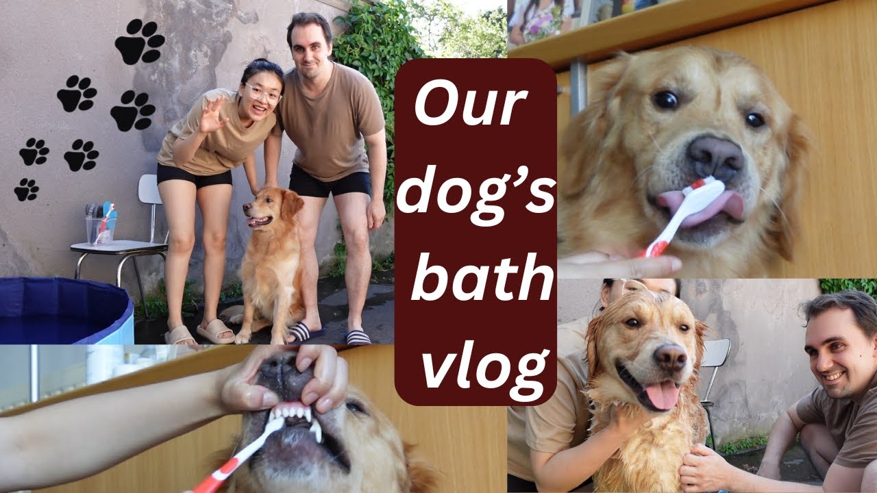 Giving our dog a bath | Family time | Bhutanese vlogger