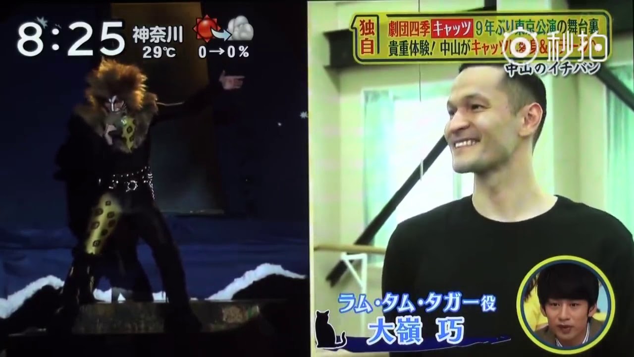 Japan Cats the musical - 2018 behind the scenes