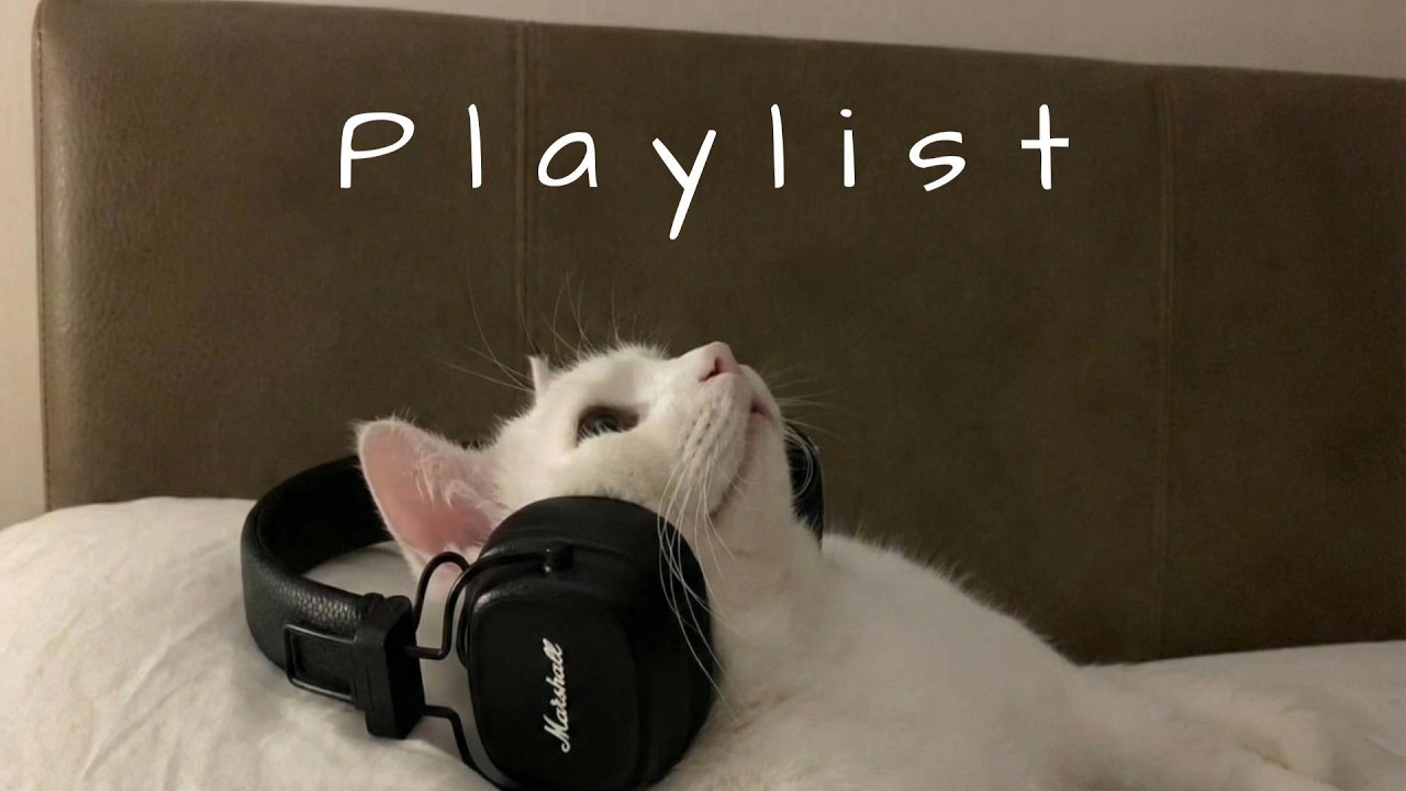 𝐏𝐥𝐚𝐲𝐥𝐢𝐬𝐭 요즘 릴스 감성 한가득, 힙한 카페에서 흘러나올 법한 노래 🤍🎧 | chill r&b · study & relax