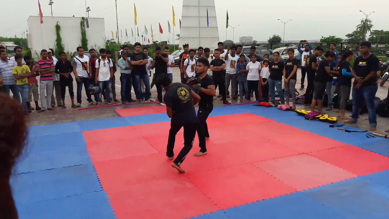 MixeD MartiaL ARTS(MMA) INDIA