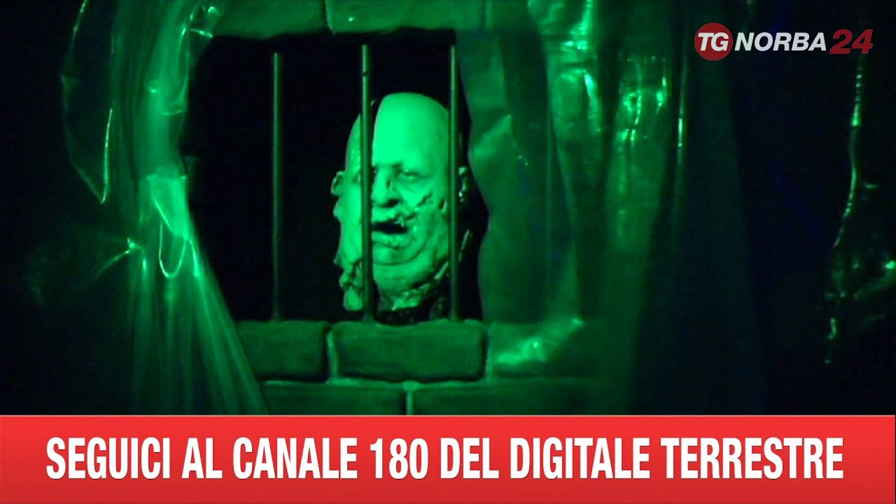 MOLFETTA MIRAGICA NUOVA ATTRAZIONE
