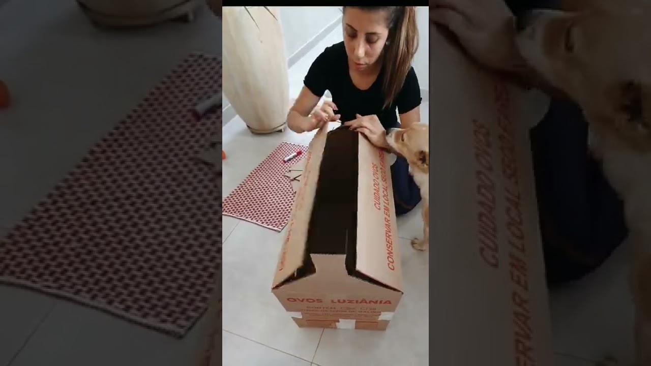 Como fazer Casinha de Papelão para animais em situação de rua.
