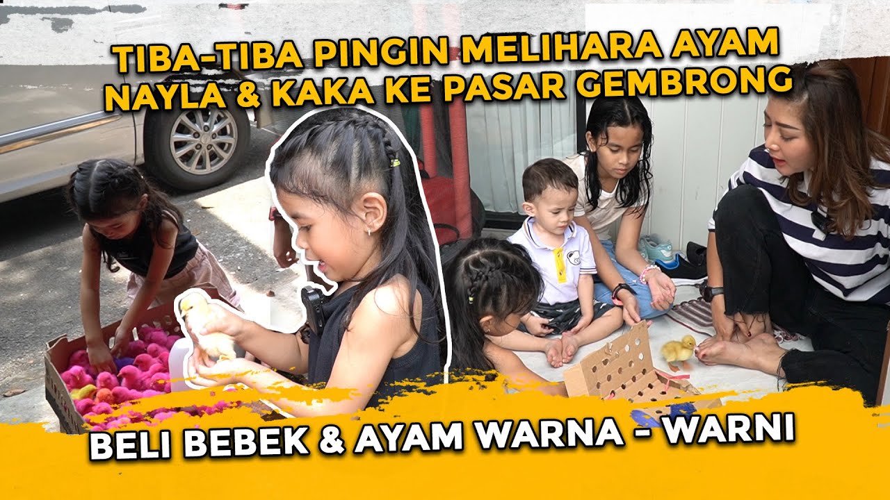 KATANYA MAU PELIHARA AYAM ??? TAPI NAYLA DAN KAKA TAKUT PEGANG AYAMNYA ???