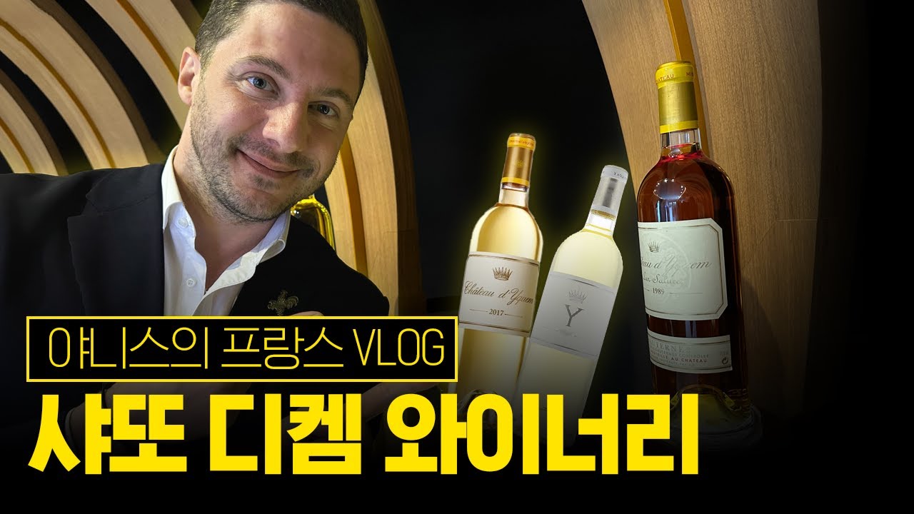 야니스의 샤또 디켐 와이너리 VLOG! l ep.29