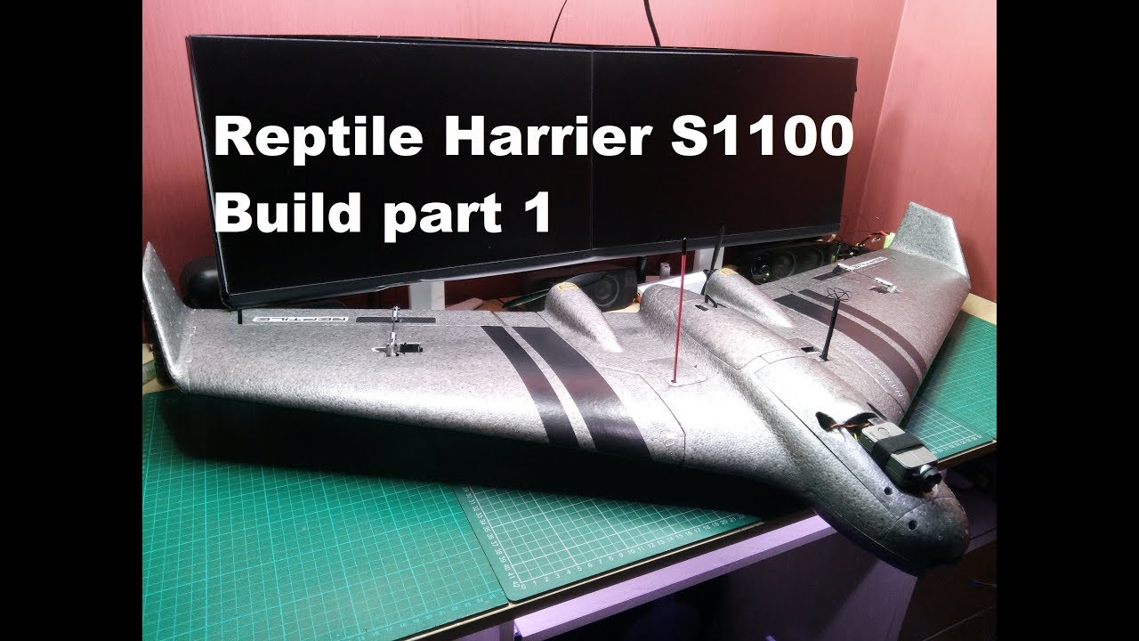Reptile Harrier S1100 Build Part 1