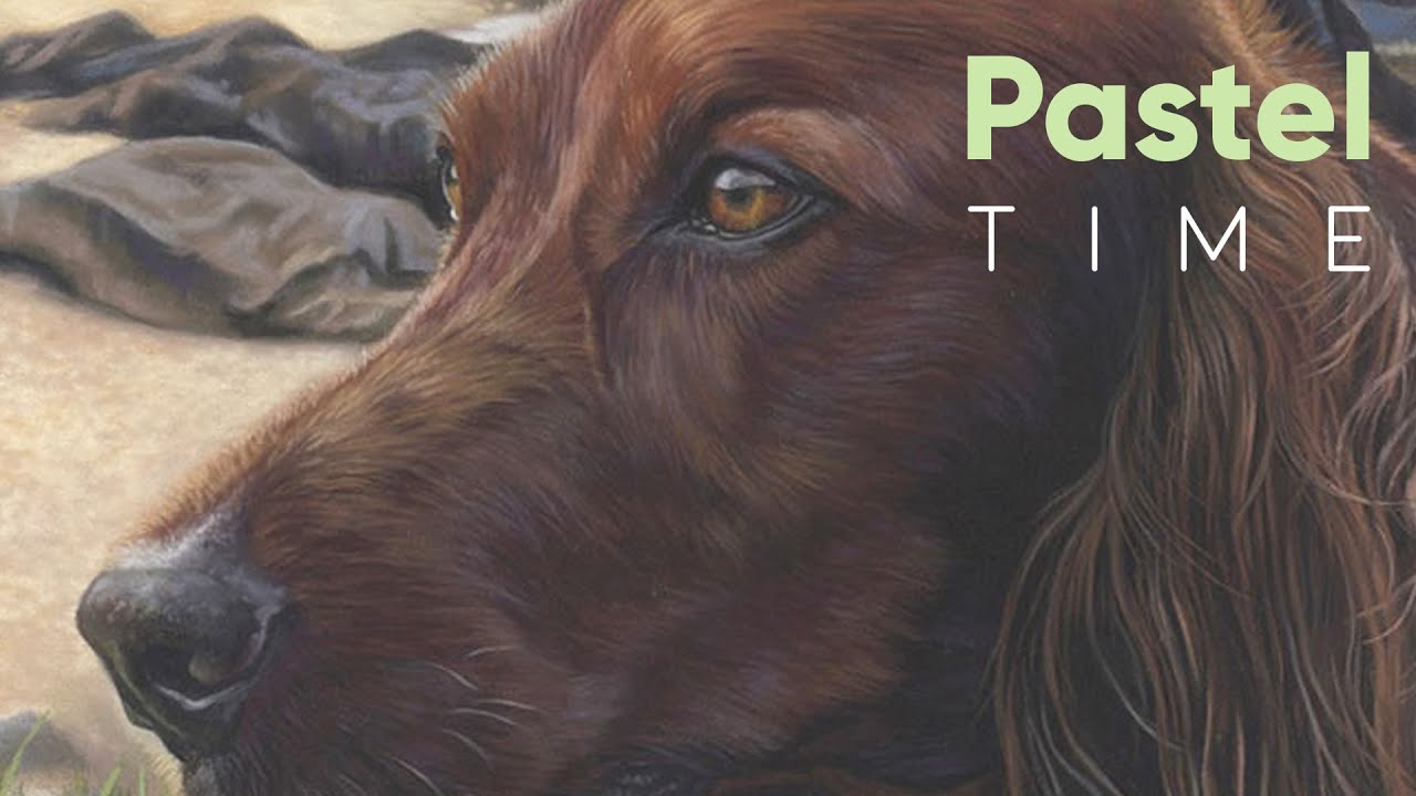 Red Setter in Soft Pastel - Timelapse