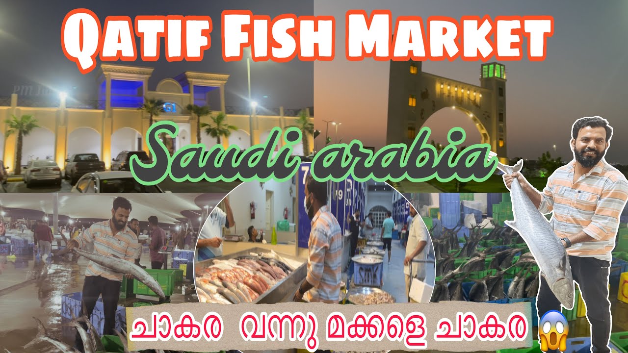 Qatif Fish Market !മീൻ  ഇഷ്ടപ്പെടാത്തവർ പോലും  കാണാൻ കൊതിക്കുന്ന ഒരു കിടിലൻ മാർക്കറ്റ് | #fishmarket