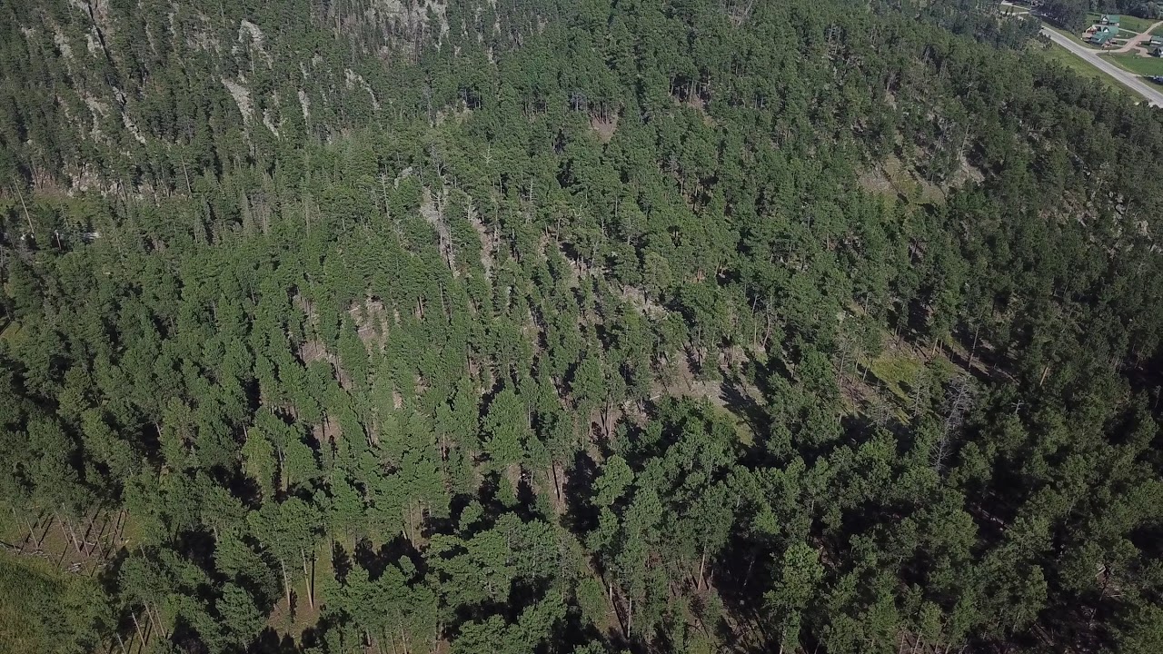 20 acres in Hill City, SD- drone footage of the land