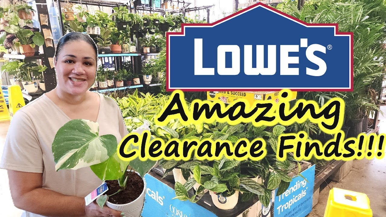 Amazing Plant Clearance Finds at Lowe's!🌿Shop With Me