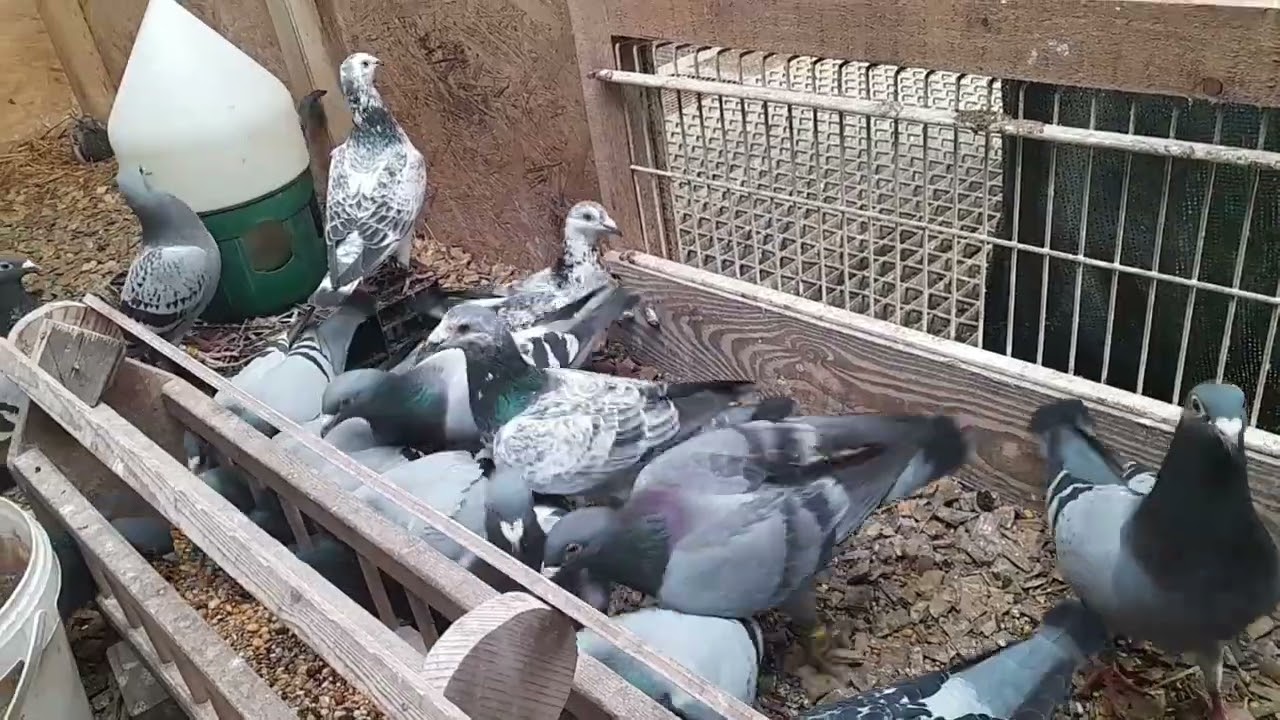 Padłeś, powstań