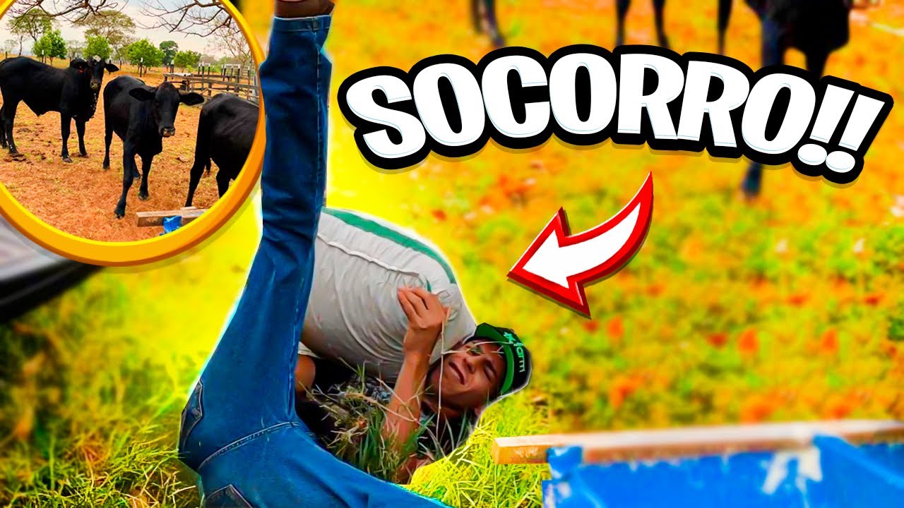 FUI COLOCAR RAÇÃO PRO GADO DO VIZINHO