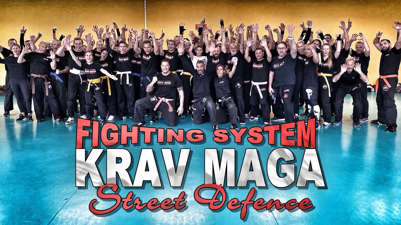 Krav Maga Seminar by Michael Rüppel in Paris