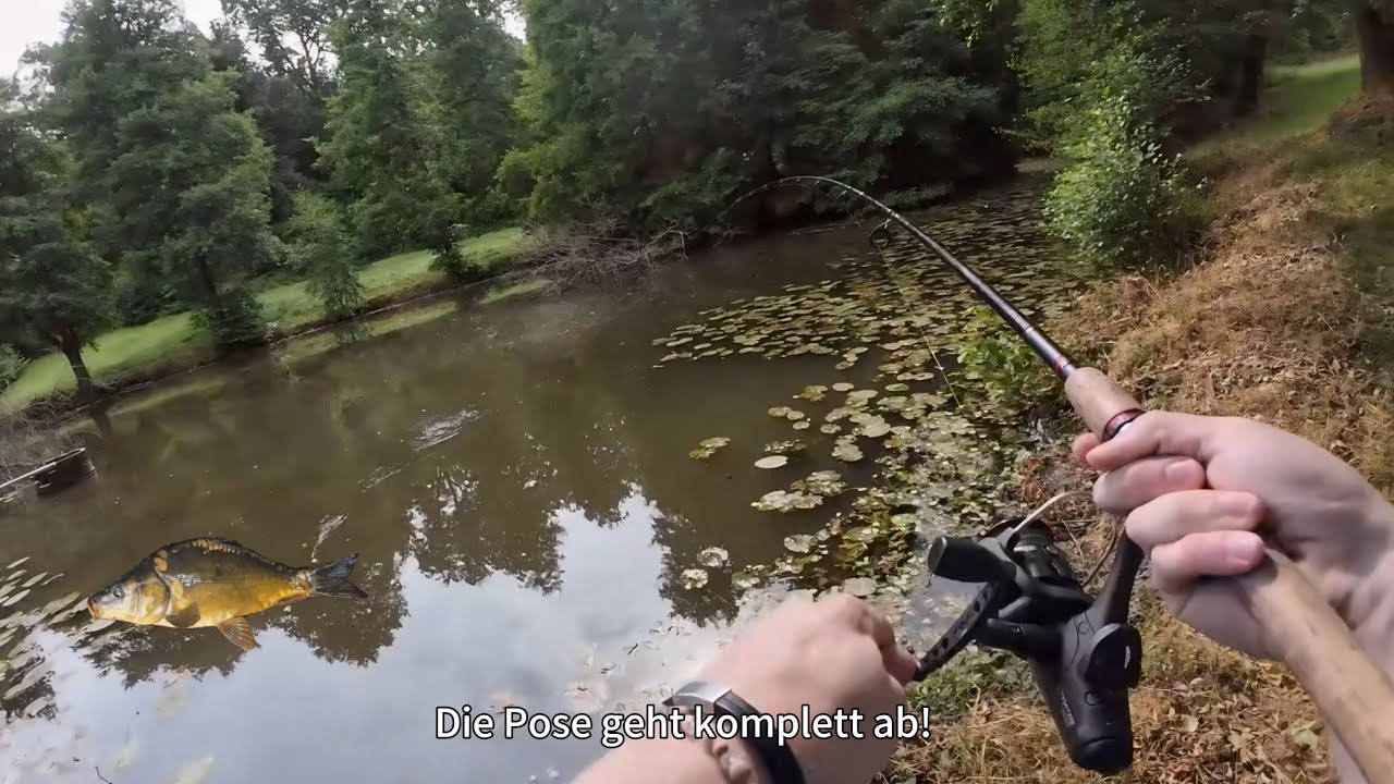 Der abgelegene Waldsee liefert wieder - endlich kommen die Zielfische!