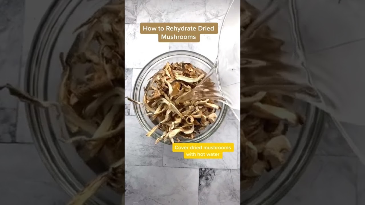 HOW TO REHYDATE DRIED MUSHROOMS 🍄