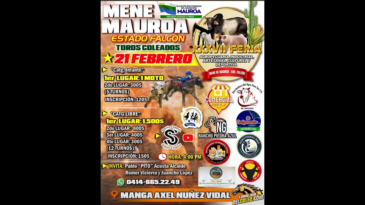 TOROS COLEADOS 