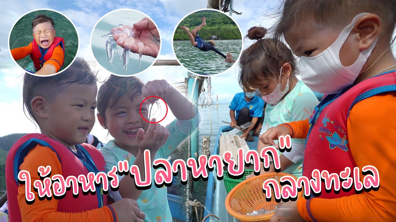 3 กุมารลงเรือ ให้อาหารปลาหายาก ! กลางทะเล !! | กุมารTravel EP.190