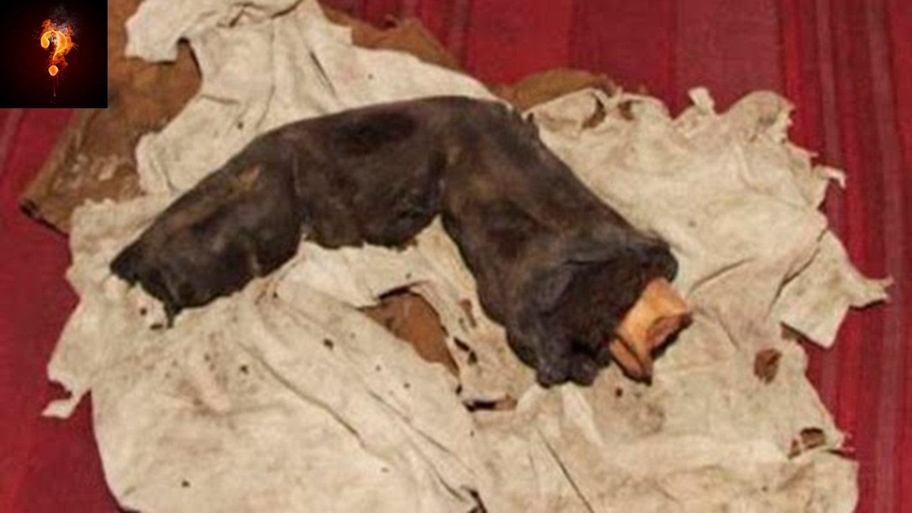 Giant's Finger Found In Egyptian Tomb?