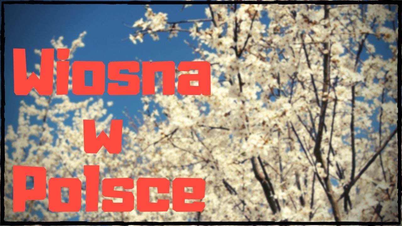 Wiosna na polskiej wsi, w sadzie, odgłosy natury, sielanka, wielkanoc, relaksujące dźwięki ASMR