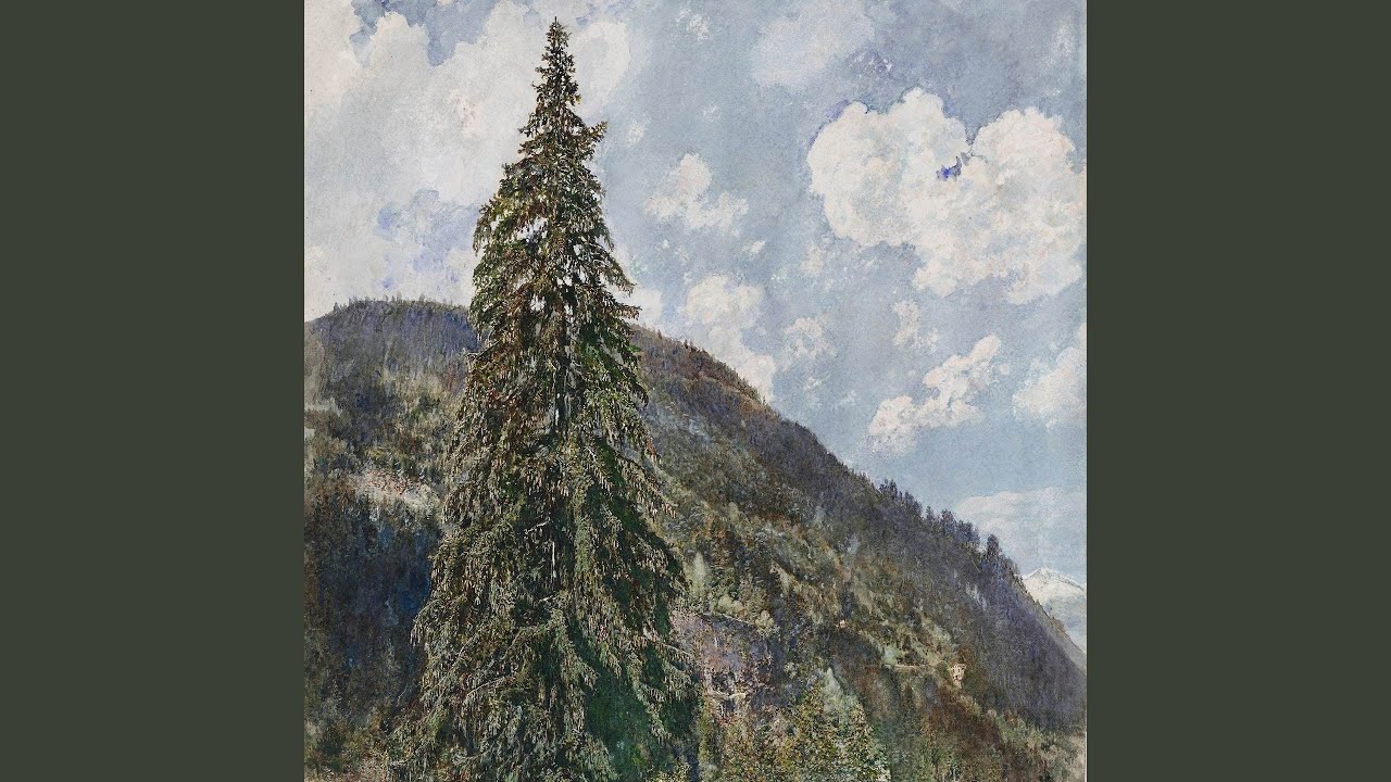 Spruce Springs