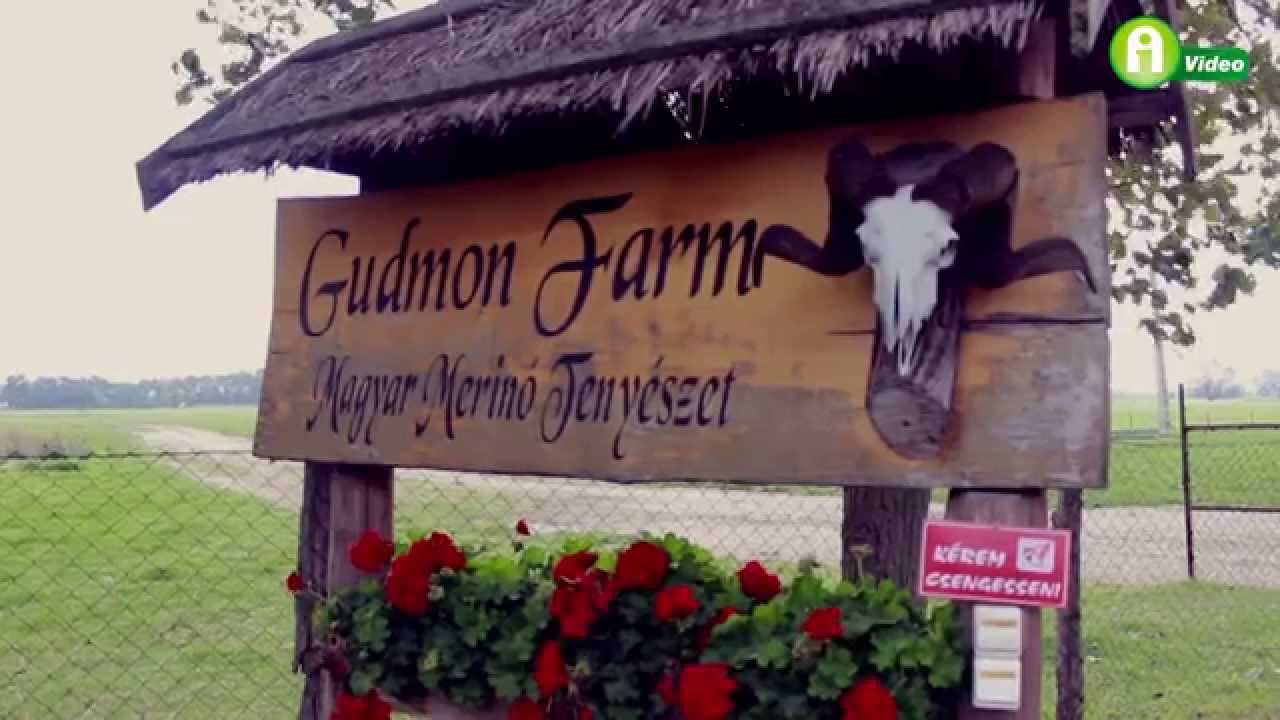 SOLTSZENTIMRE - GUDMON  FARM 2014
