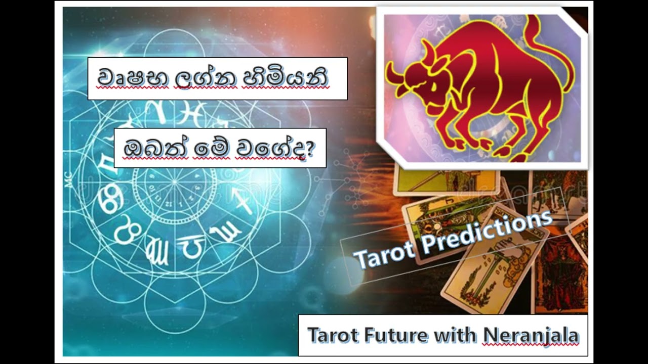 වෘෂභ ලග්න හිමියනි ඔබත් මේ වගේද? | Taurus, are you like this too? | Timeless Reading | Tarot Sinhala