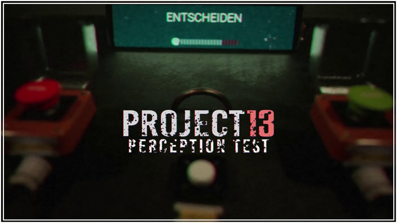 PROJECT 13 Perception Test ◽️ #01 Wie gut ist unsere Wahrnehmung? 👀