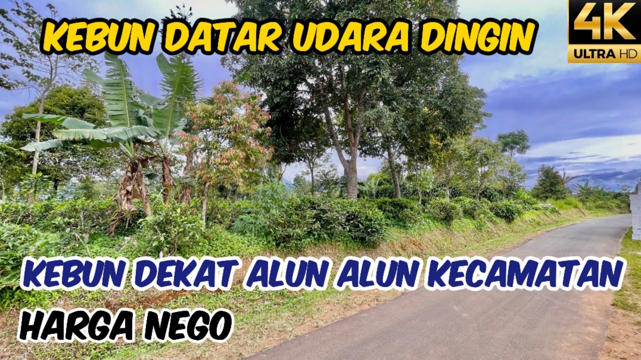 Tanah Kebun dekat Alun Alun Kecamatan Bojong Purwakarta Luas 3240 m2 SHM Rp 350 ribu / m2 Nego 