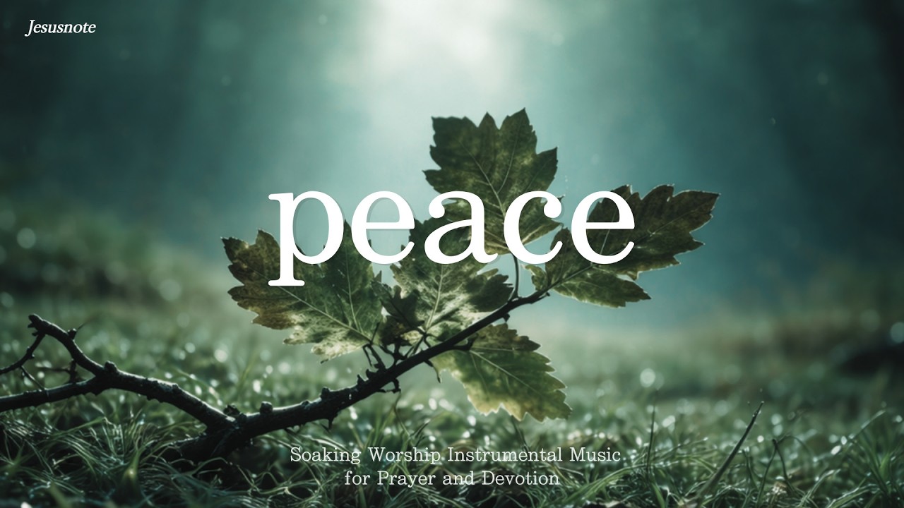 PEACE - Soaking Worship Instrumental | Music for Prayer and Devotion