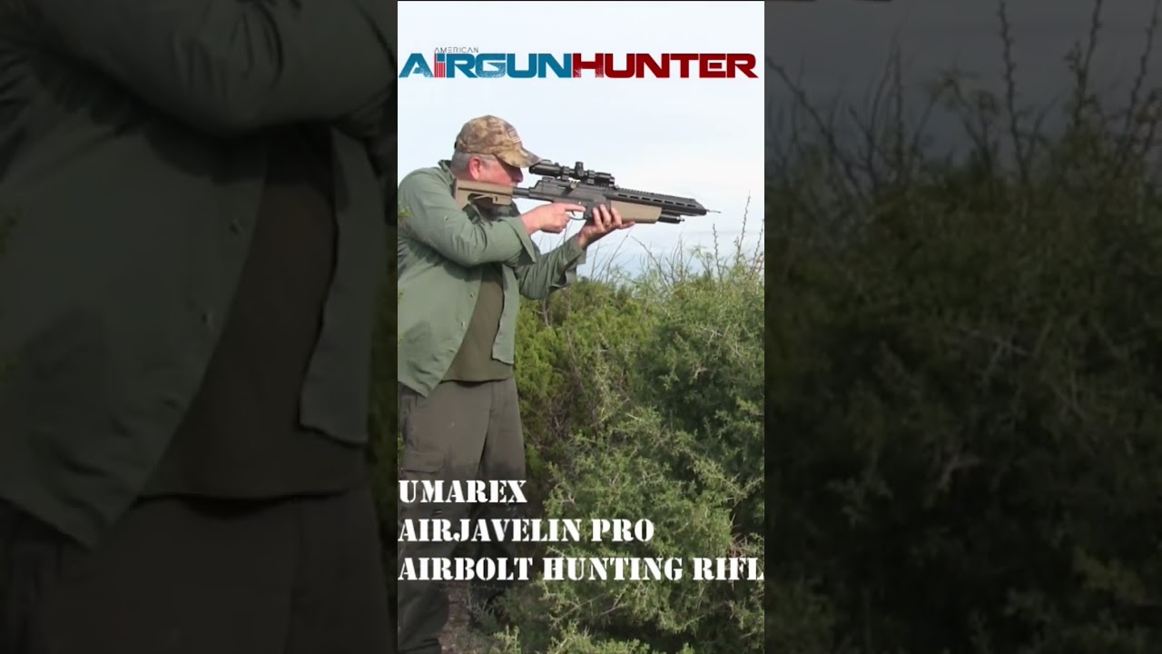 Airgun Arrow Rabbit Hunt #airgun #hunting #airbow #airbolt