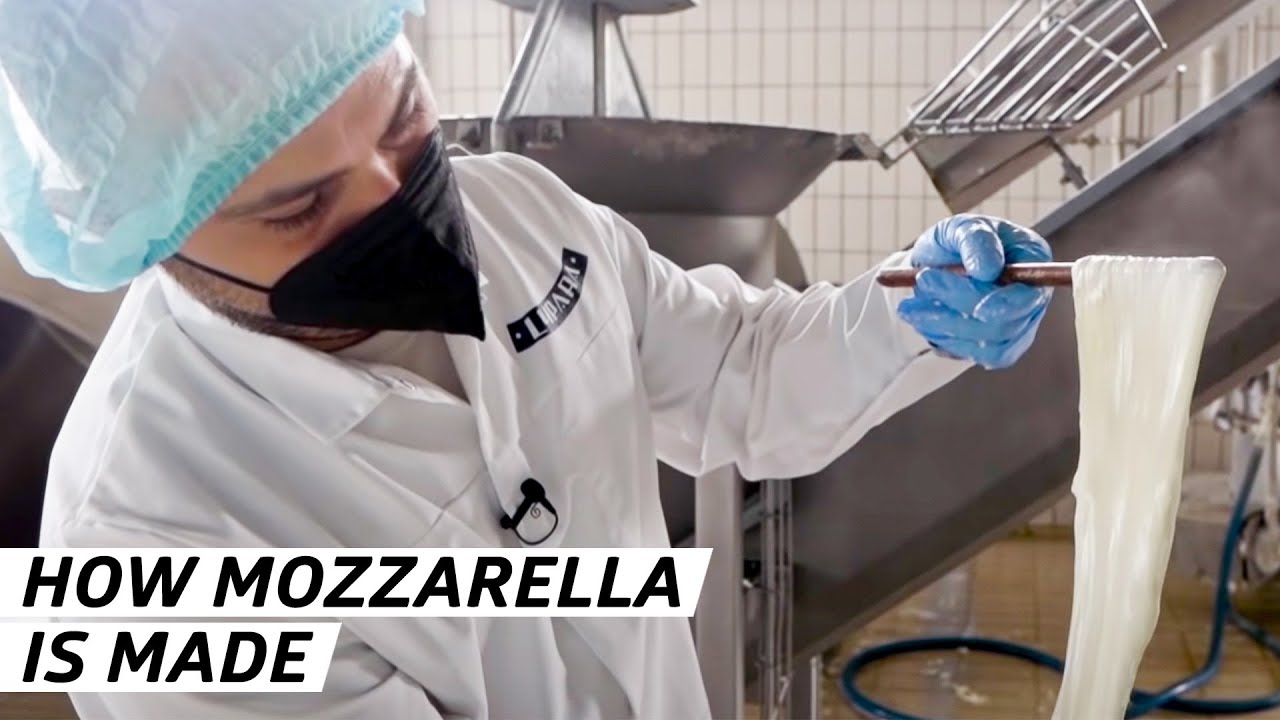 How One of the World's Biggest Mozzarella Distributers Makes its Cheese — Vendors
