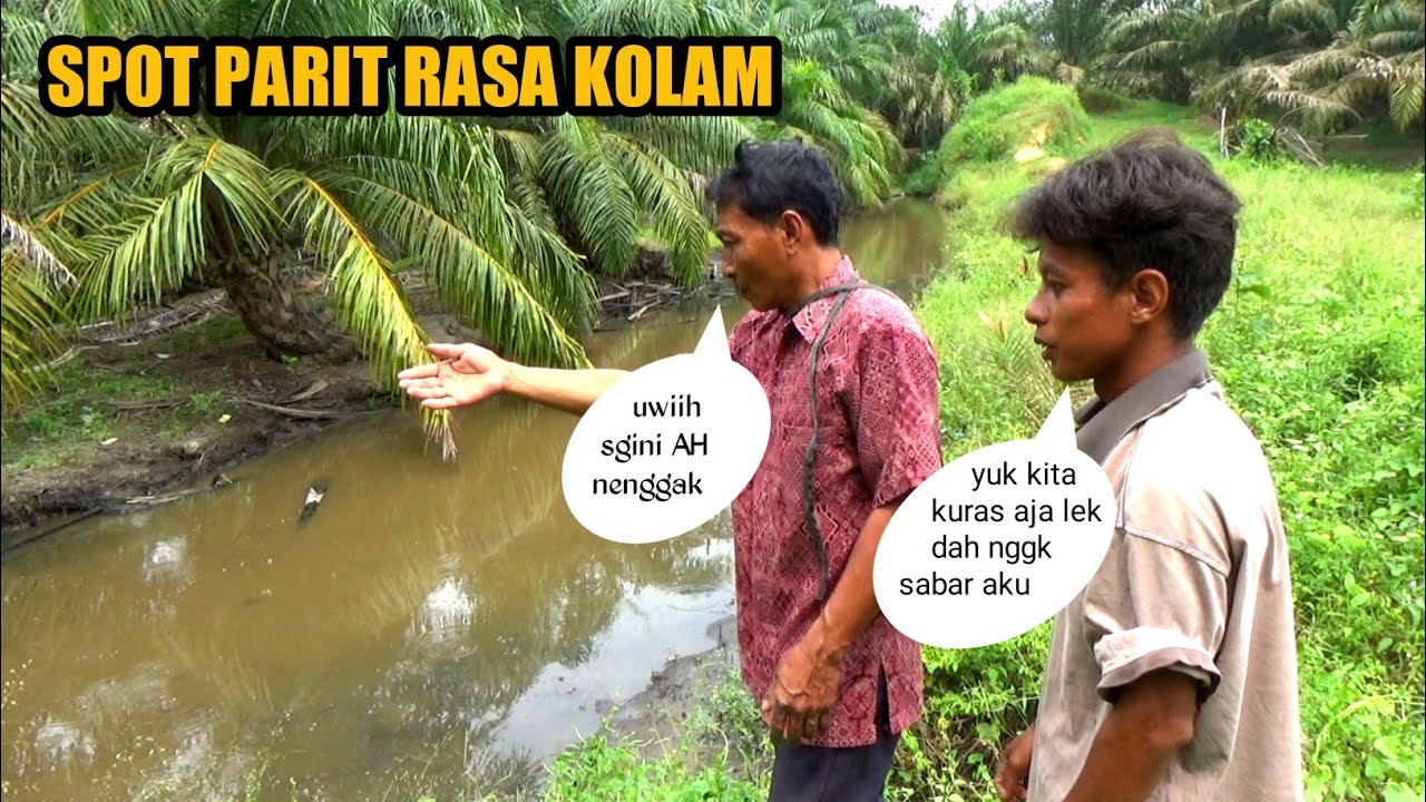 NGURAS PARIT SERASA PANEN IKAN DI KOLAM