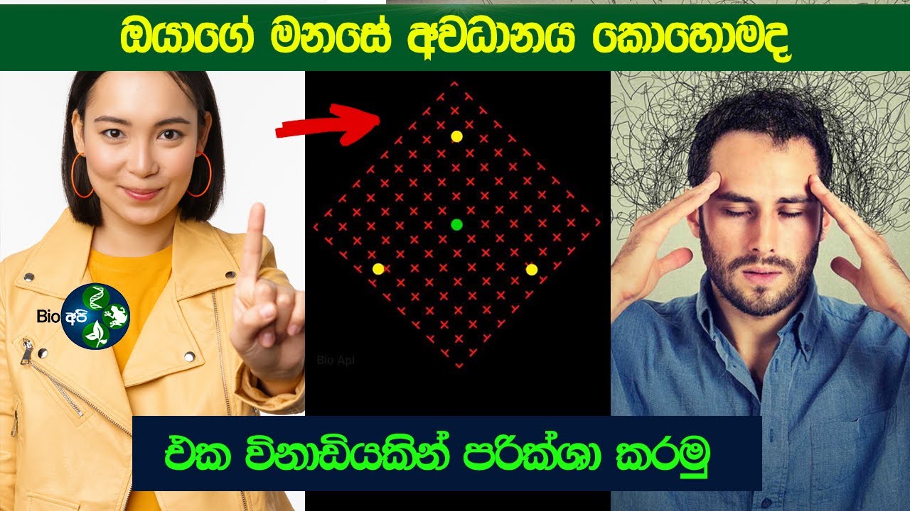 ඔයාගේ අවධානය ගැන විනාඩියෙන් බලමු | Concentration illusion Test - How Strong Is Your Mind?  