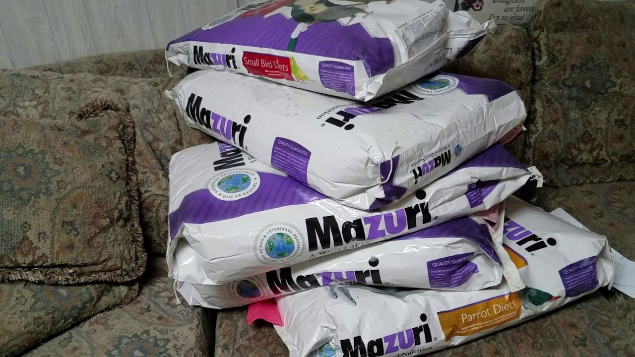 A little SNOW & A little SNEAK UP ON THE KIDS  GOTTA LOVE MAZURI BIRD & PIG FOOD 💖