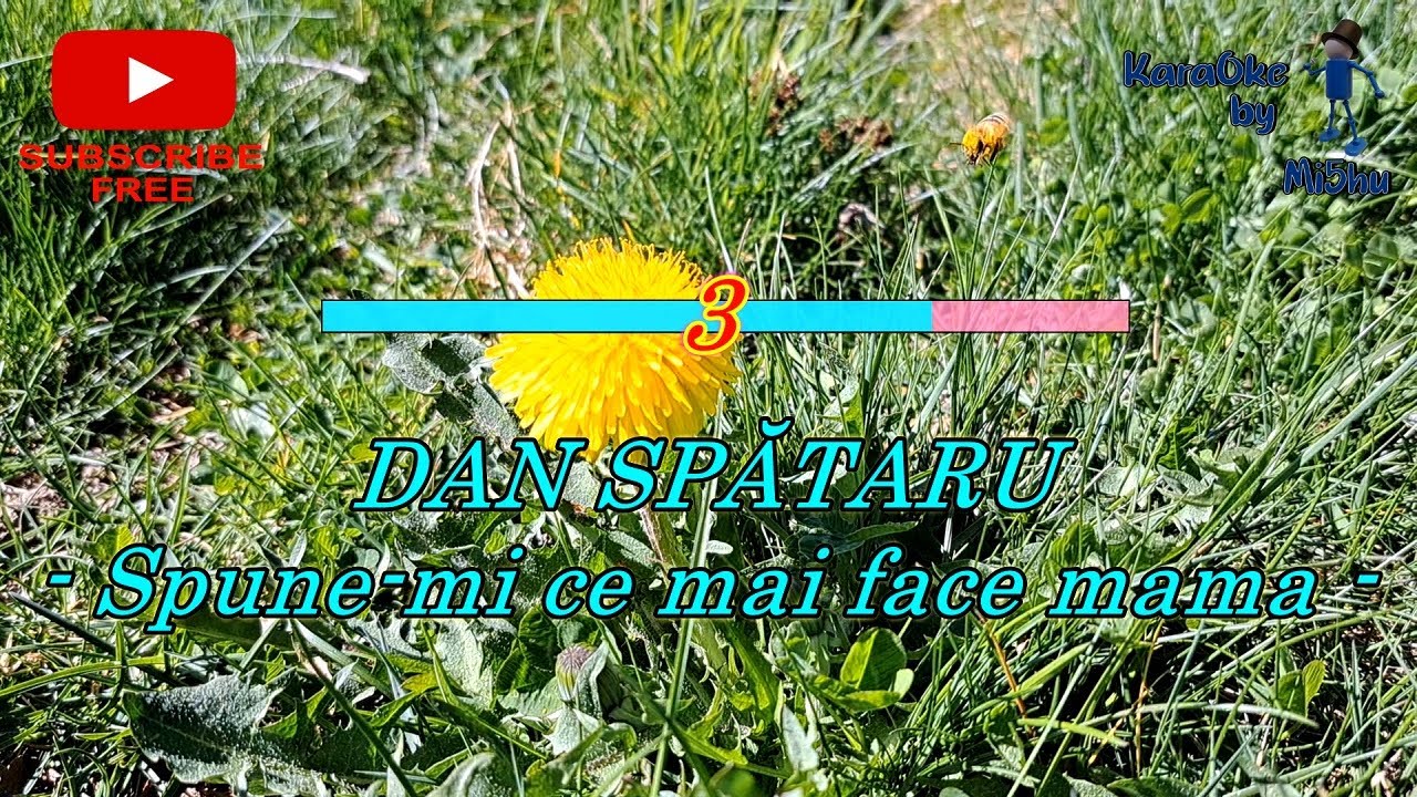 Dan Spataru karaoke - Spune-mi ce mai face mama