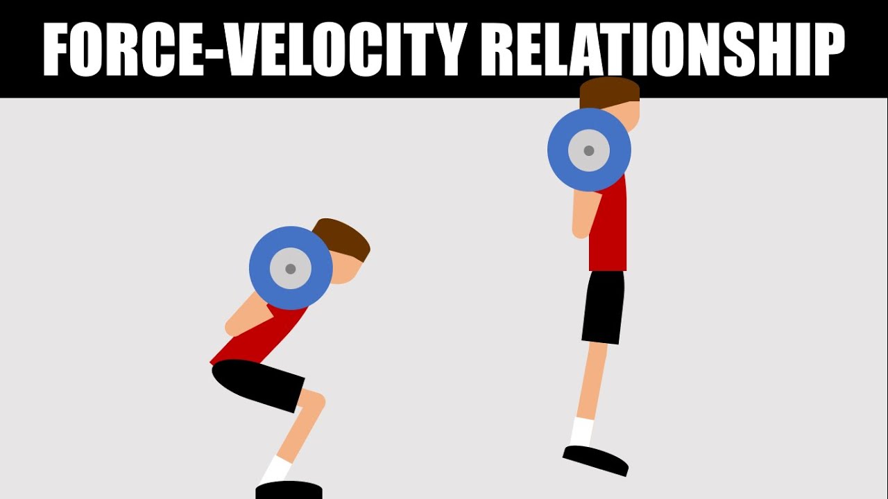 Using the Force-Velocity Relationship to Program Power Training | For Optimal Performance