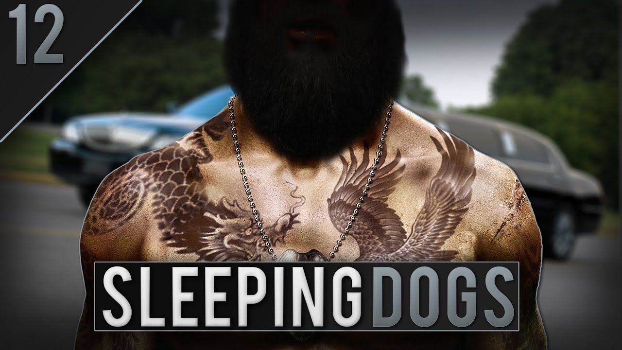 NUOVI ALLEATI - E12 - Sleeping Dogs [ITA]