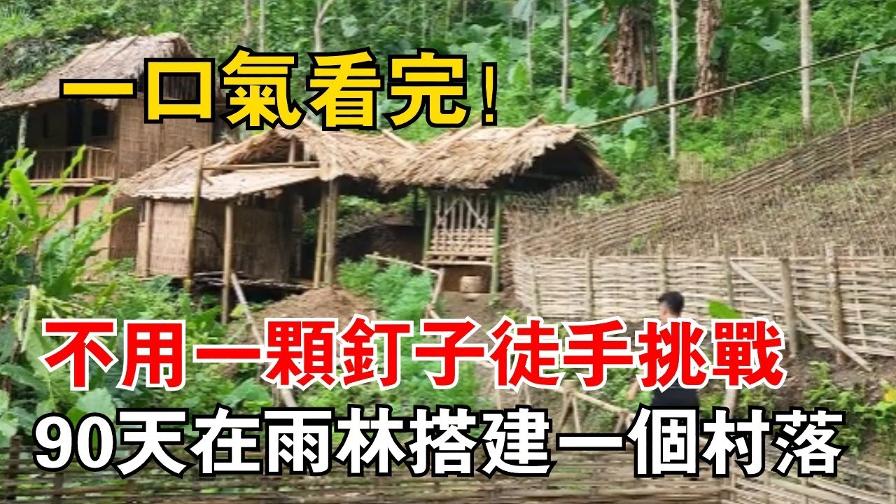 挑戰不用一顆釘子，在雨林90天搭建一個村落，這樣的生活你羡慕嗎