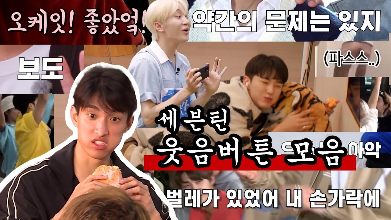 [세븐틴] 웃긴데 귀여운 무한반복 세븐틴 모음1