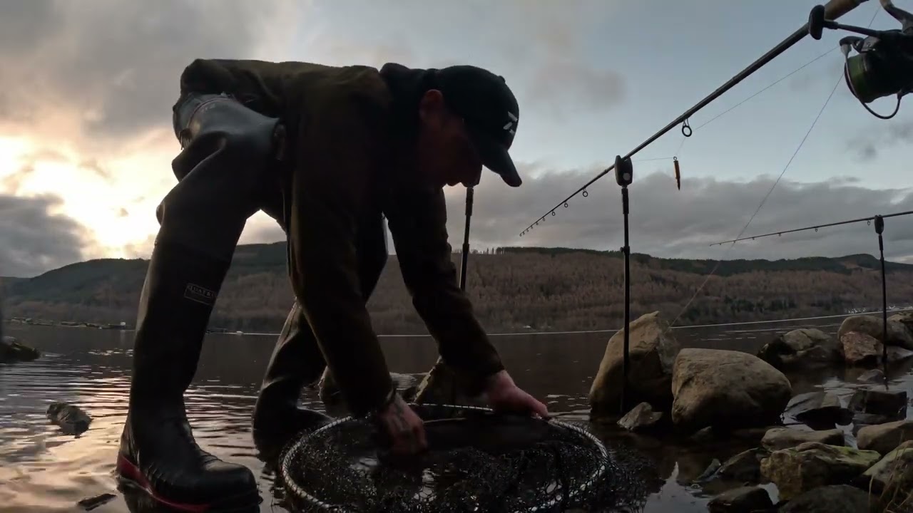 Loch Tay brown trout 2lbs 12oz