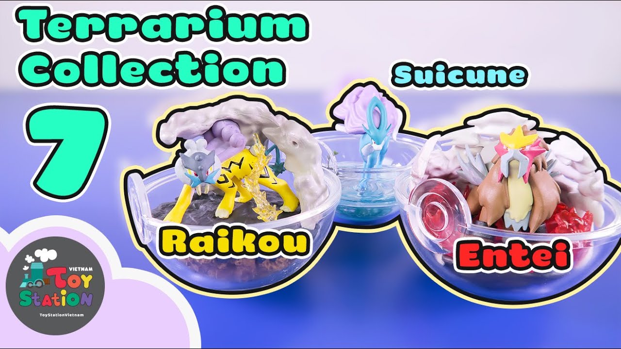 Mở Pokemon Terrarium Collection 7 theo phong cách buồn ngủ ToyStation 529
