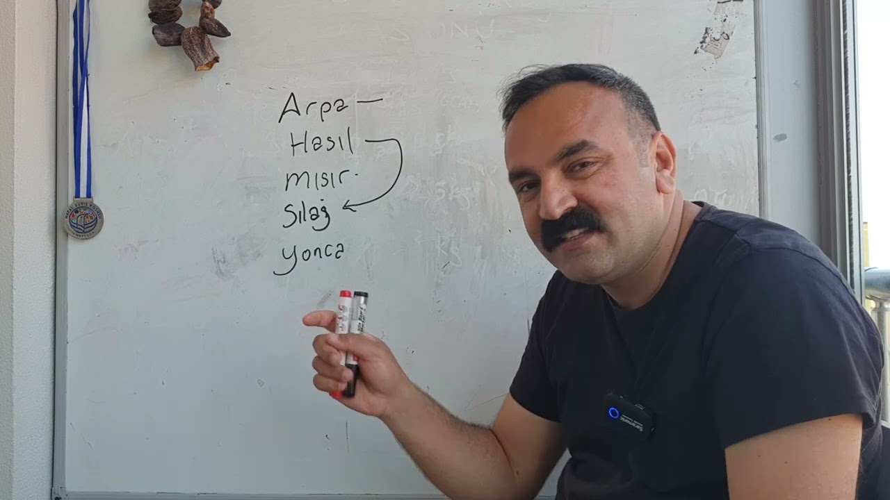 topraksız tarımda hayvan yemini yani Arpa Hasılını rasyondaki hangi ürünle  kıyaslamalıyız.