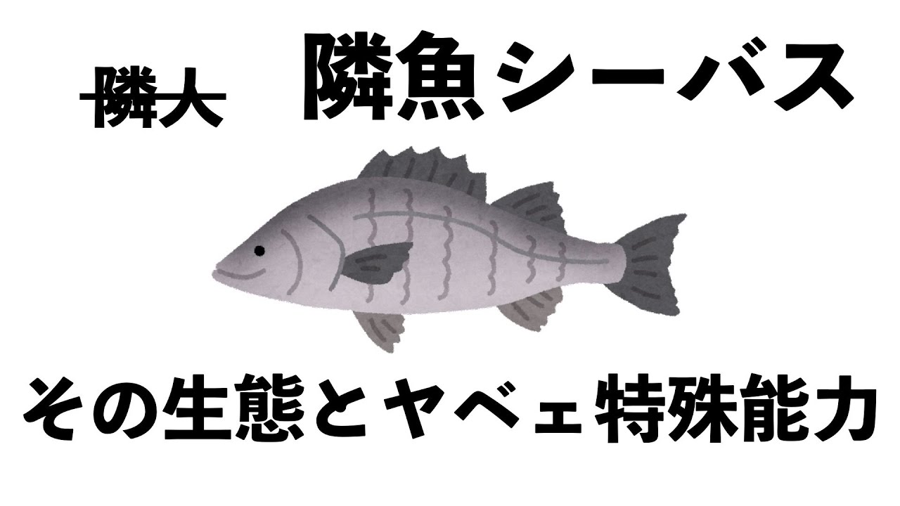 シーバス（スズキ）の生態