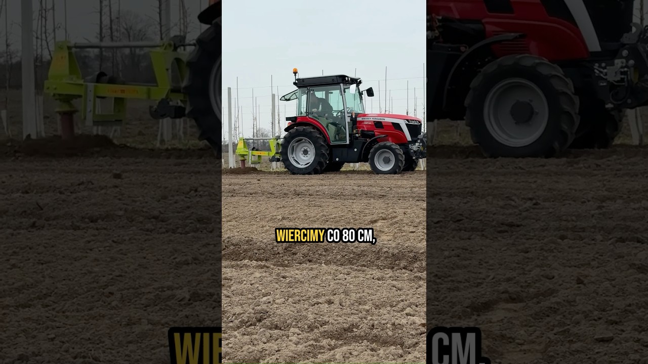 Wiertnica Ditta-Seria - nowa kwatera jabłoni